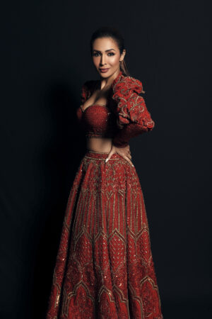 Rust Lehenga Set
