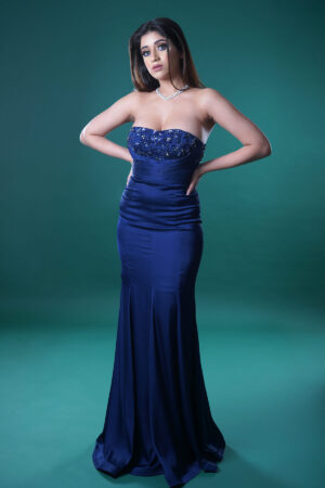 MIDNIGHT BLUE EMBELLISHED GOWN